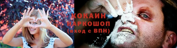 мдпв Вяземский