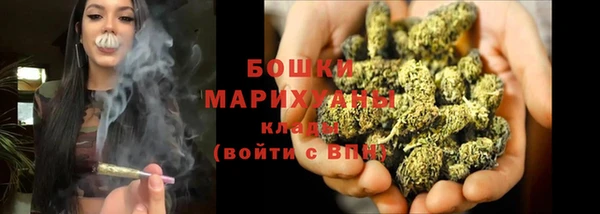 ГАЛЛЮЦИНОГЕННЫЕ ГРИБЫ Вязники