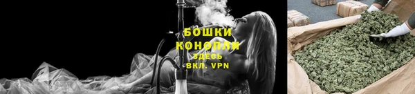 мдпв Вяземский