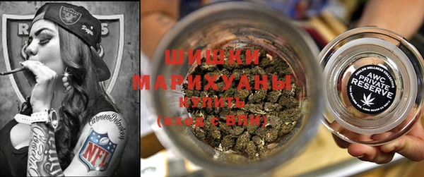 мдпв Вяземский