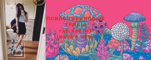 мдпв Вяземский
