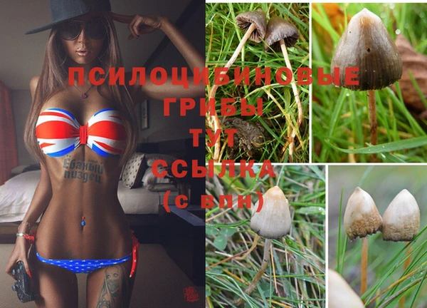 мдпв Вяземский