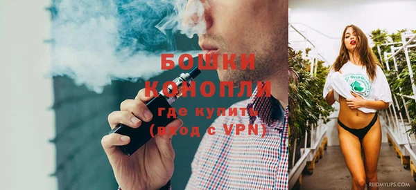 ГАЛЛЮЦИНОГЕННЫЕ ГРИБЫ Вязники