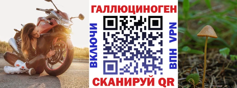 Псилоцибиновые грибы мухоморы  что такое   Приволжский 